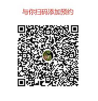 91CE06A24D3CBD09503B6031D362D0CB.jpg